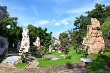 В гостях у Таиланда: Невероятное шоу с крокодилами  в Паттайе (ФОТО)