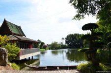 В гостях у Таиланда: Невероятное шоу с крокодилами  в Паттайе (ФОТО)