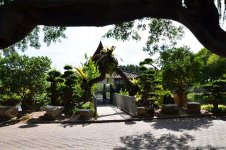 В гостях у Таиланда: Невероятное шоу с крокодилами  в Паттайе (ФОТО)