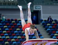 Azerbaijan’s Stepko advances to finals at FIG World Challenge Cup in Artistic Gymnastics (PHOTO)