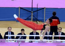 Второй день соревнований на Кубке мира по спортивной гимнастике в Баку (Фоторепортаж)