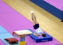 Второй день соревнований на Кубке мира по спортивной гимнастике в Баку (Фоторепортаж)