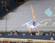 Второй день соревнований на Кубке мира по спортивной гимнастике в Баку (Фоторепортаж)