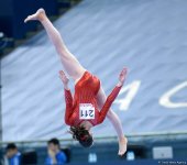 Второй день соревнований на Кубке мира по спортивной гимнастике в Баку (Фоторепортаж)