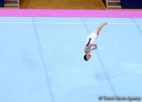 Завершающий день соревнований на Кубке мира по спортивной гимнастике в Баку (ФОТО)