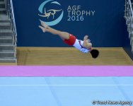 Завершающий день соревнований на Кубке мира по спортивной гимнастике в Баку (ФОТО)