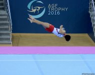 FIG World Challenge Cup in Artistic Gymnastics in Baku (PHOTO)
