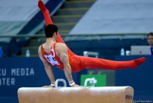 FIG World Challenge Cup in Artistic Gymnastics in Baku (PHOTO)