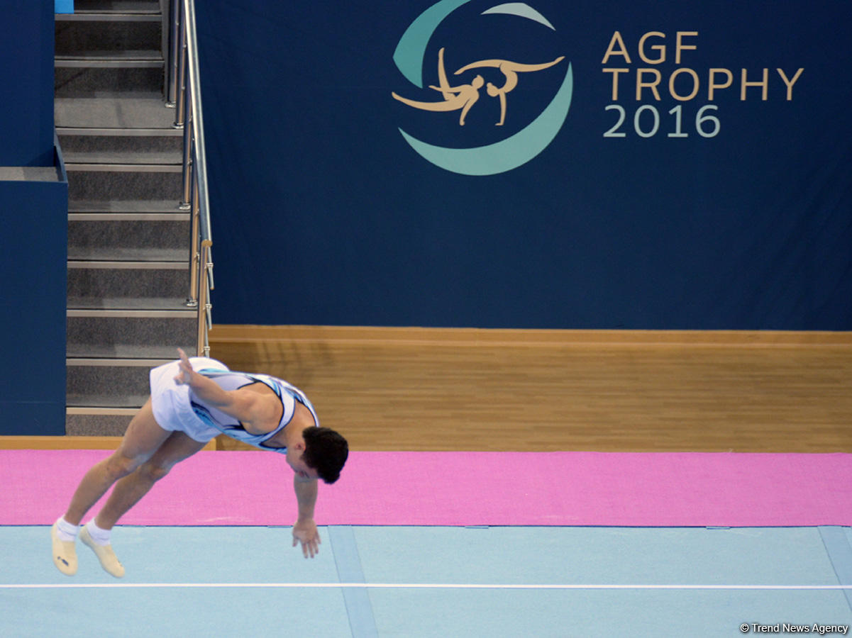 FIG World Challenge Cup in Artistic Gymnastics in Baku (PHOTO)