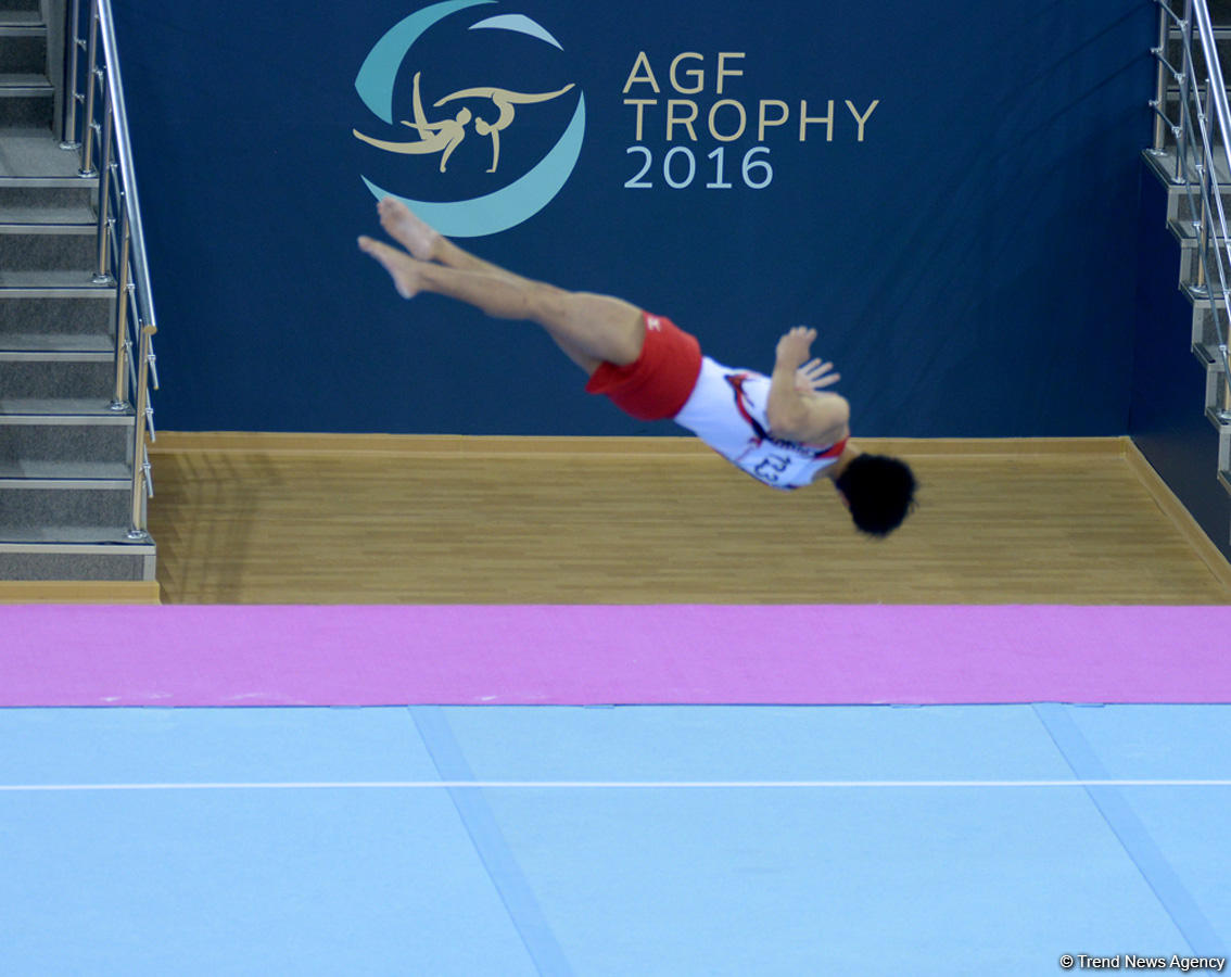 FIG World Challenge Cup in Artistic Gymnastics in Baku (PHOTO)