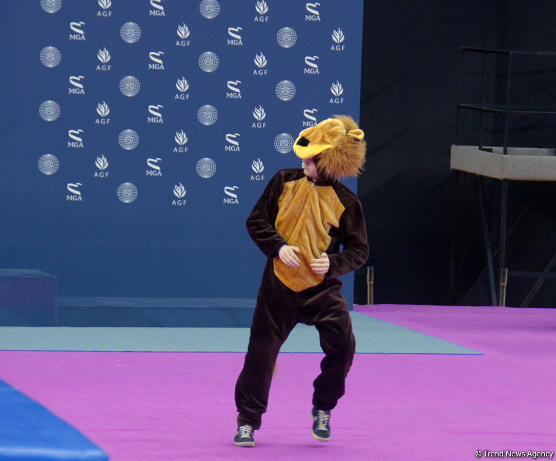 Baku holds rehearsal for FIG World Cup in Trampoline Gymnastics (PHOTO)