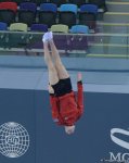 Podium training of FIG World Cup trampoline gymnasts starts in Baku (PHOTO)
