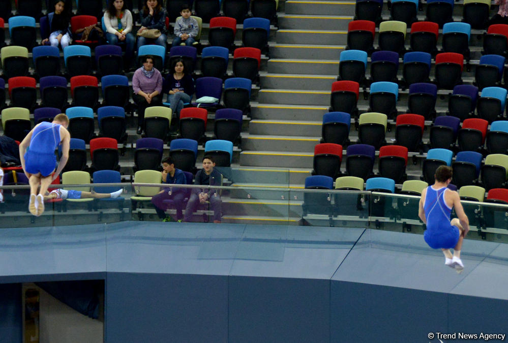 Азербайджанские гимнасты пробились в финал Кубка мира по прыжкам на батуте (ФОТО)