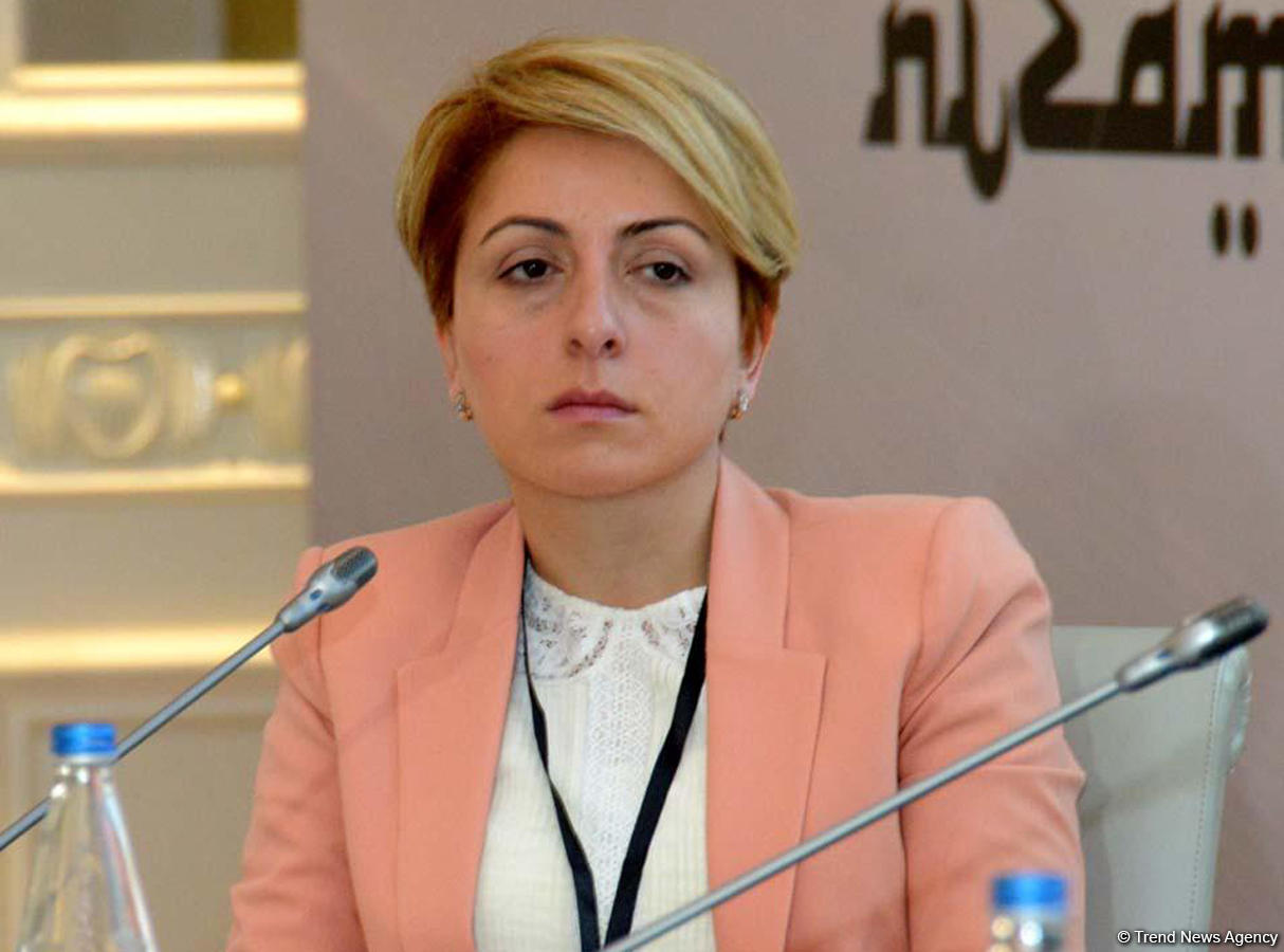 Развитие азербайджано-грузинских отношений способствует прогрессу региона - Эка Ткешелашвили