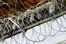 Azerbaijan starts execution of president’s pardon decree