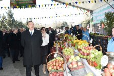 Президент Азербайджана и его супруга приняли участие во всенародных празднествах по случаю Новруза (ФОТО)
