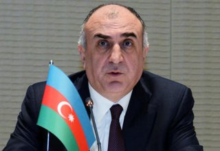 Азербайджан обеспокоен ситуацией с Мецаморской АЭС в Армении - глава МИД
