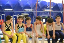 Стартовал второй день соревнований Первенства Азербайджана и Чемпионата Баку по спортивной гимнастике (ФОТО)