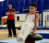 Стартовал второй день соревнований Первенства Азербайджана и Чемпионата Баку по спортивной гимнастике (ФОТО)