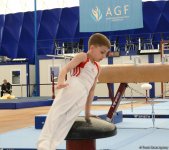 Стартовал второй день соревнований Первенства Азербайджана и Чемпионата Баку по спортивной гимнастике (ФОТО)