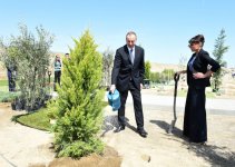 Президент Азербайджана и его супруга приняли участие в кампании по посадке деревьев по случаю дня рождения великого лидера Гейдара Алиева (ФОТО)