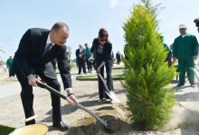 Президент Азербайджана и его супруга приняли участие в кампании по посадке деревьев по случаю дня рождения великого лидера Гейдара Алиева (ФОТО)