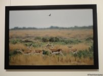 В Баку торжественно отметили 10-летие журнала YOL (ФОТО)