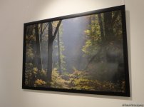 В Баку торжественно отметили 10-летие журнала YOL (ФОТО)
