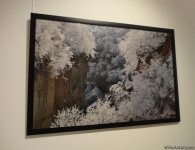 В Баку торжественно отметили 10-летие журнала YOL (ФОТО)