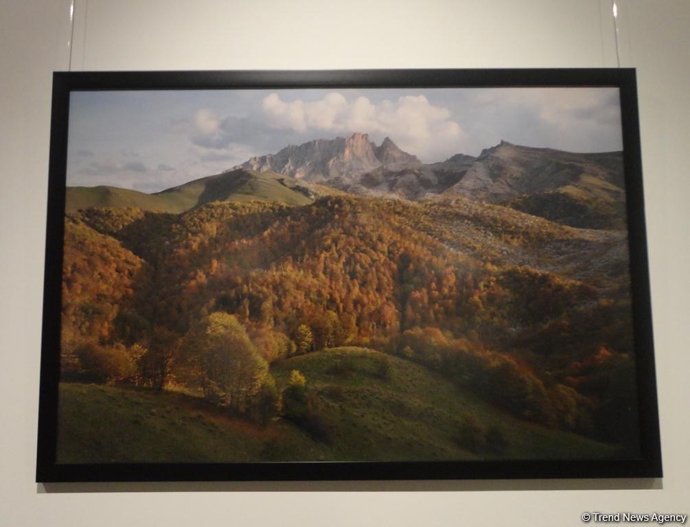 В Баку торжественно отметили 10-летие журнала YOL (ФОТО)