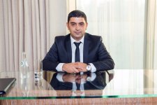 Мятанет Искендерли в День Республики представила патриотическую композицию (аудио)