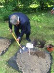 Фархад Бадалбейли посадил сирень на  "Партизанской поляне" в Минске (ФОТО)