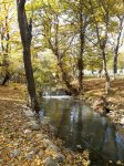 Уникальный летний творческий лагерь в Азербайджане "Поймай свою волну " (ФОТО)