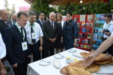В Баку прошел первый Международный фестиваль долмы (ФОТО)