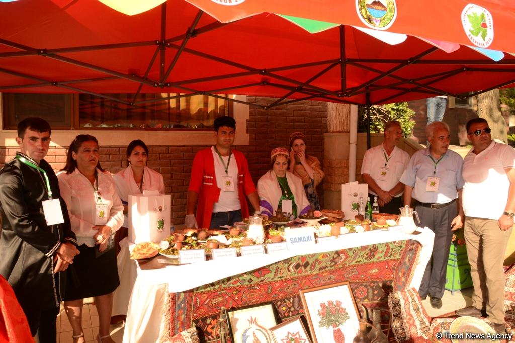 В Баку прошел первый Международный фестиваль долмы (ФОТО)