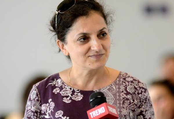 FIG World Cup to help popularize Azerbaijani culture - gymnastics fan