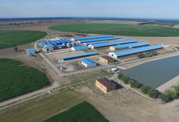 Узбекское агропромышленное агентство закупит автотранспортные средства