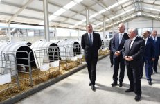 Президент Ильхам Алиев принял участие в открытии Яламинского агропарка (ФОТО)