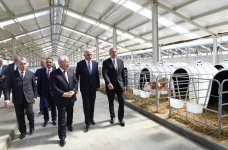 Президент Ильхам Алиев принял участие в открытии Яламинского агропарка (ФОТО)