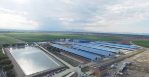 Президент Ильхам Алиев принял участие в открытии Яламинского агропарка (ФОТО)
