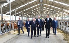 Президент Ильхам Алиев принял участие в открытии Яламинского агропарка (ФОТО)
