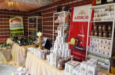 Первая леди Мехрибан Алиева приняла участие в церемонии открытия "Азербайджанского городка" в Париже (ФОТО)