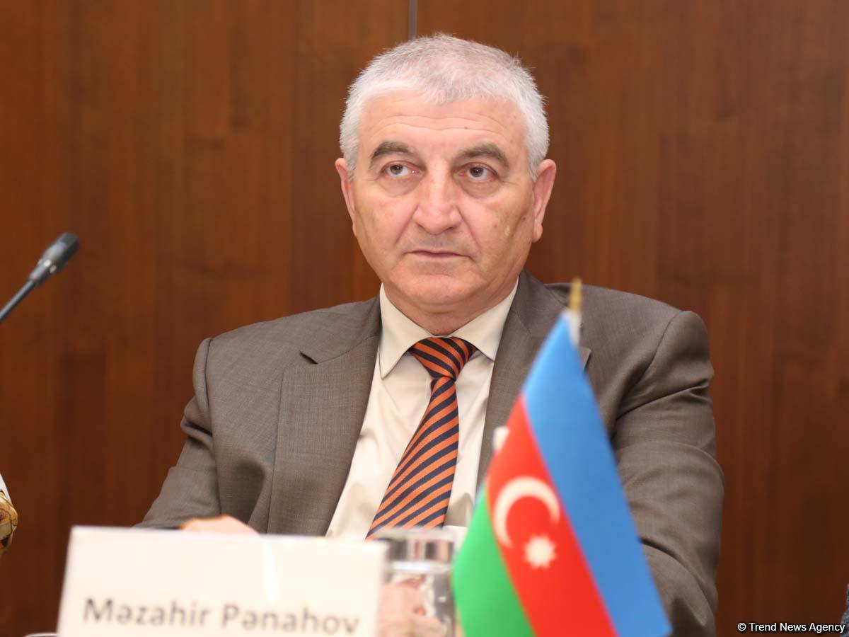 Все распространившиеся в соцсетях кадры будут изучены - Мазахир Панахов