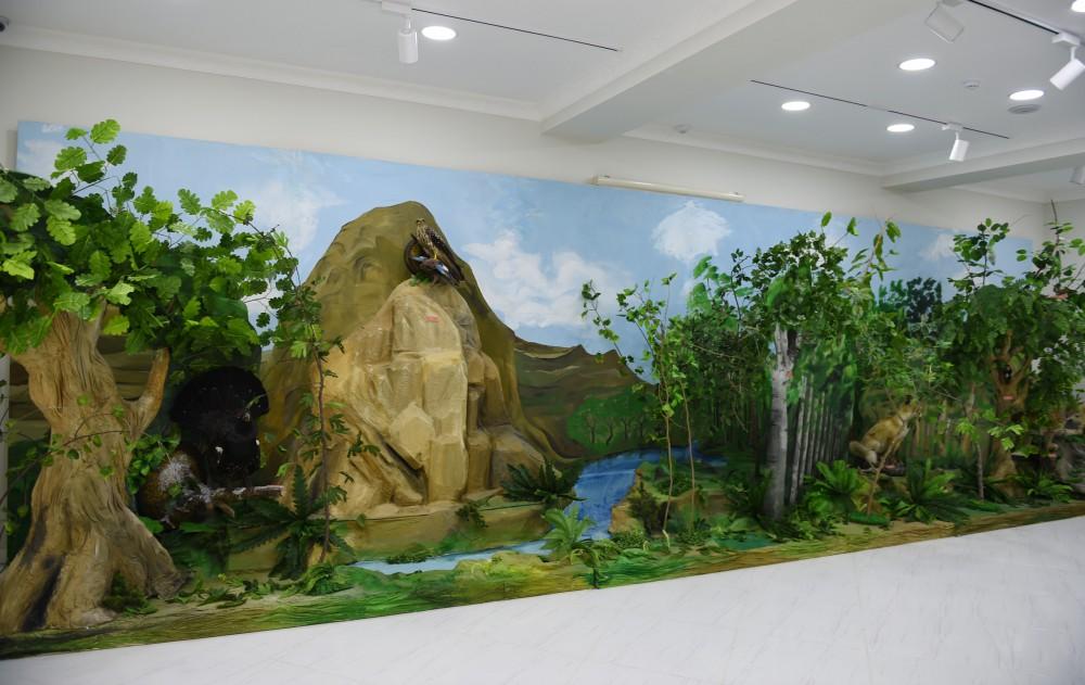 Ilham Aliyev opens new building of museum in Qazakh