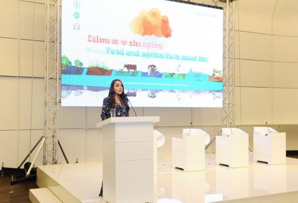 Leyla Aliyeva attends event on World Food Day in Baku  (PHOTO)