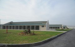 Leyla Aliyeva opens IDEA Animal Care Center (PHOTO)