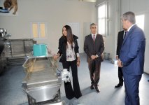 Leyla Aliyeva opens IDEA Animal Care Center (PHOTO)