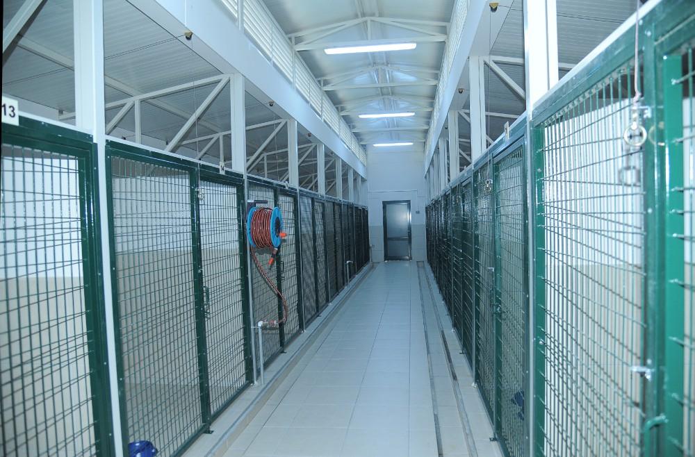 Leyla Aliyeva opens IDEA Animal Care Center (PHOTO)
