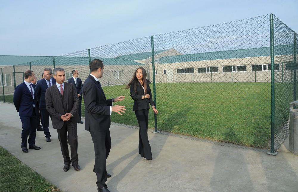 Leyla Aliyeva opens IDEA Animal Care Center (PHOTO)