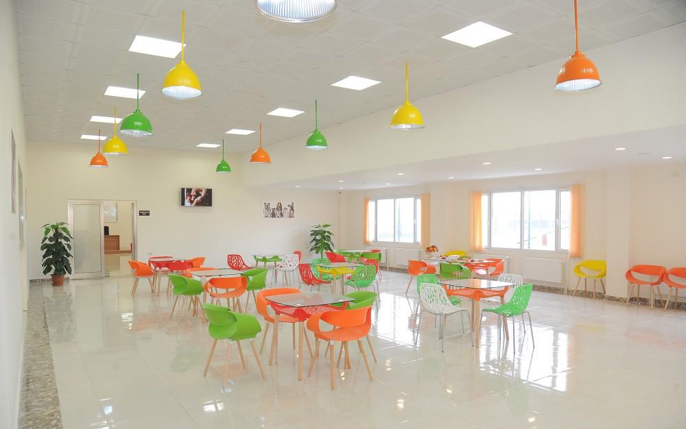 Leyla Aliyeva opens IDEA Animal Care Center (PHOTO)